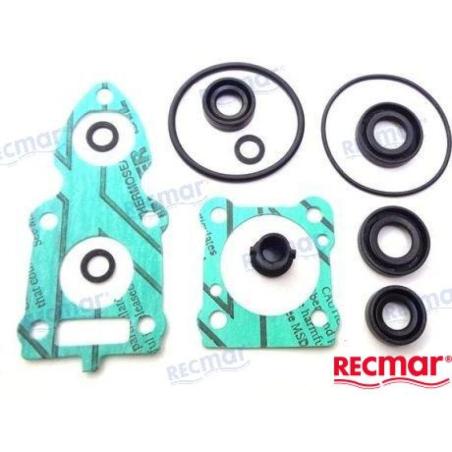 LOWER UNIT GASKET KIT