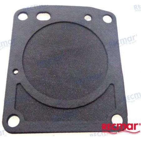 FUEL PUMP DIAPHRAGM KIT