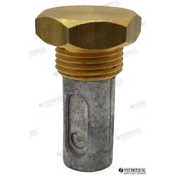 ANODE RENAULT C/TAP