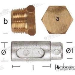 ANODE LOMBARDINI W/TAP