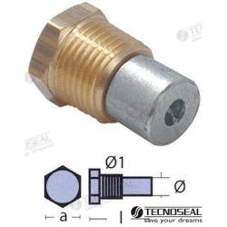 ANODES WITH PLUG SERIE BOILER ¼” BSPT