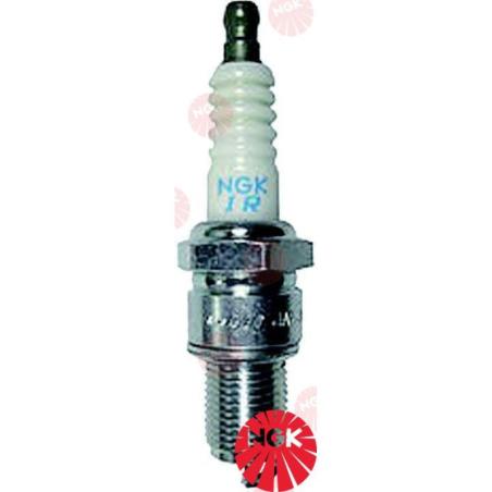 SPARK-PLUG