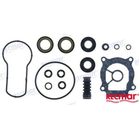 LOWER UNIT SEAL KIT