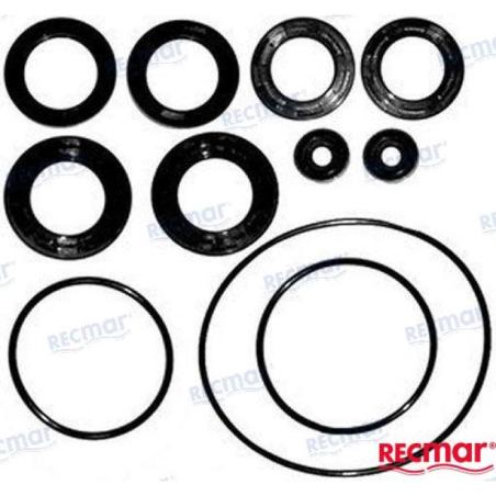 LOWER UNIT SEAL KIT