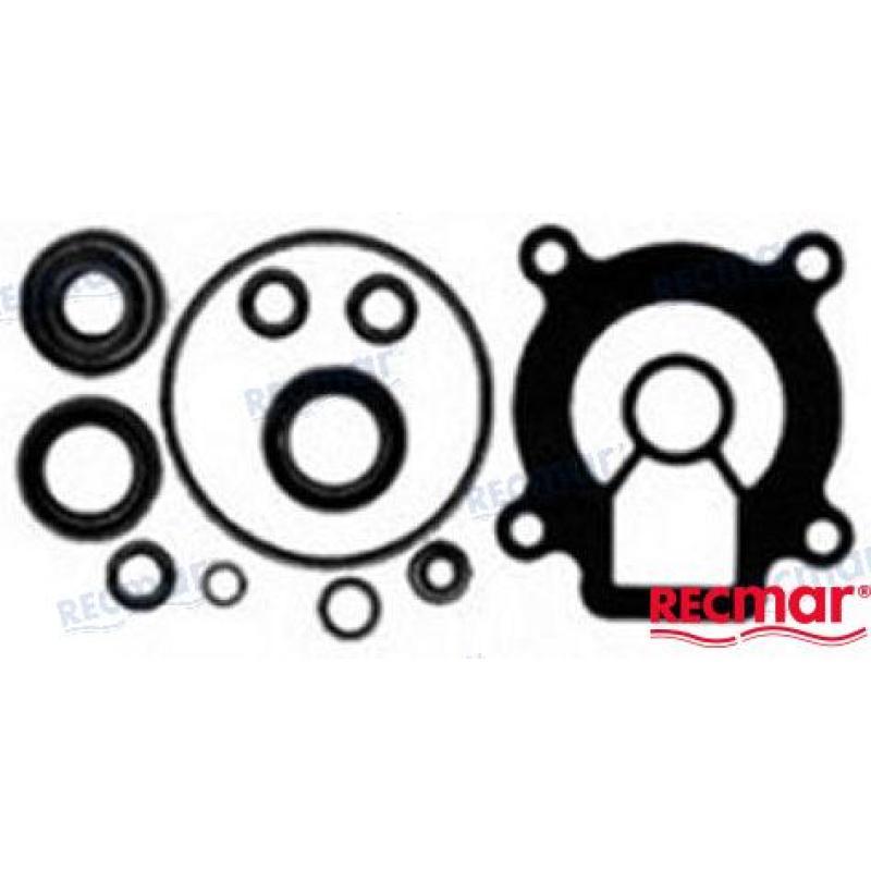 LOWER UNIT SEAL KIT