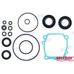 LOWER UNIT SEAL KIT