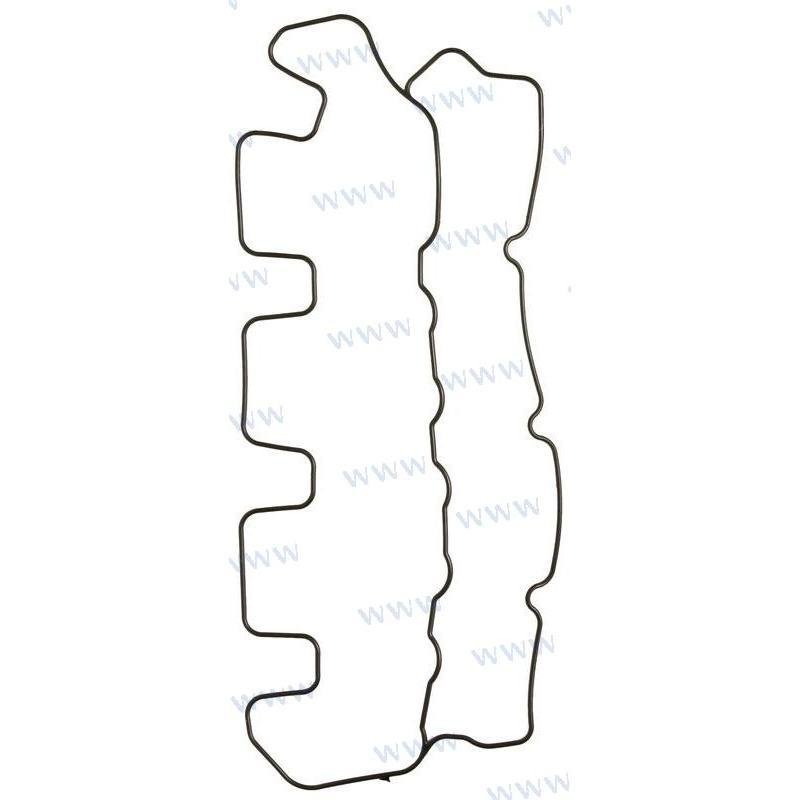 VALVE COVER GASKET D2